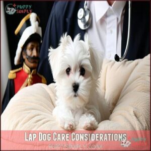 Lap Dog Care Considerations