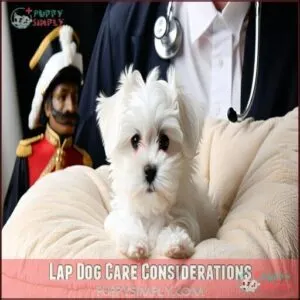Lap Dog Care Considerations