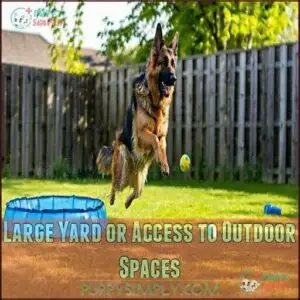 Large Yard or Access to Outdoor Spaces