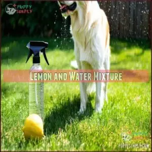Lemon and Water Mixture