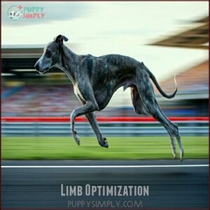 Limb Optimization