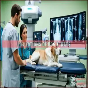 Limitations of Dog X-Rays