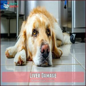 Liver Damage