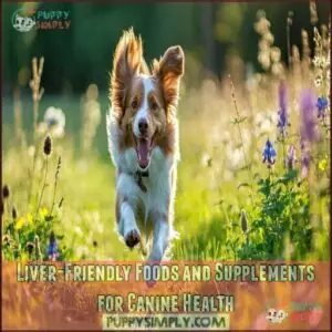 Liver-Friendly Foods and Supplements for Canine Health