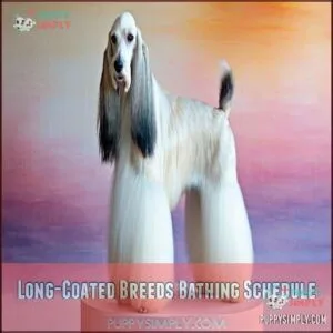 Long-Coated Breeds Bathing Schedule