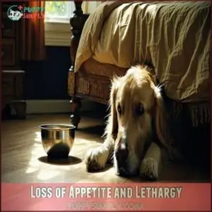 Loss of Appetite and Lethargy