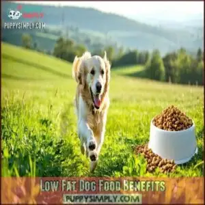 Low Fat Dog Food Benefits