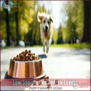 Low Sodium and Copper Levels