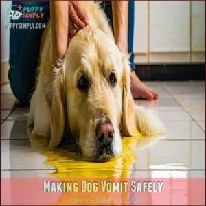Making Dog Vomit Safely