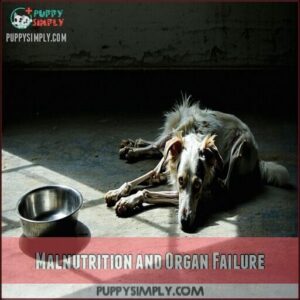 Malnutrition and Organ Failure