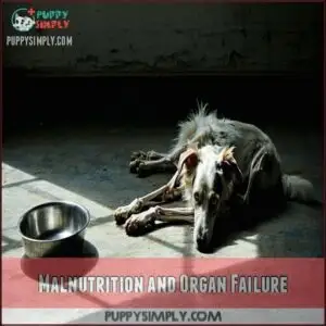 Malnutrition and Organ Failure