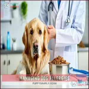 Managing Dog Allergies