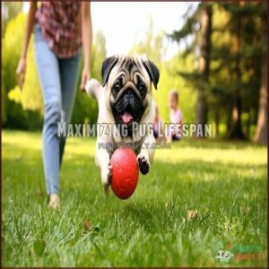 Maximizing Pug Lifespan