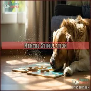 Mental Stimulation