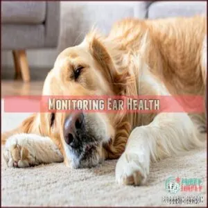 Monitoring Ear Health