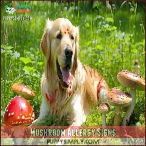 Mushroom Allergy Signs