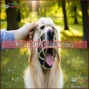 Muzzle Safety Precautions