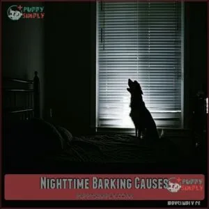 Nighttime Barking Causes