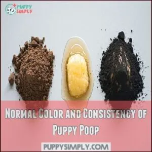 Normal Color and Consistency of Puppy Poop