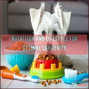 Nutrition and Lifestyle for Optimal Longevity