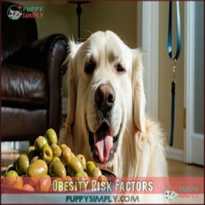 Obesity Risk Factors