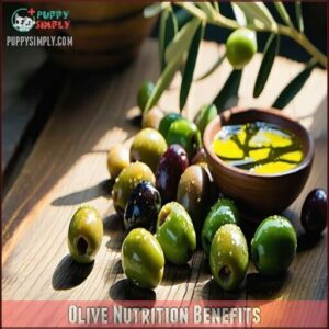 Olive Nutrition Benefits