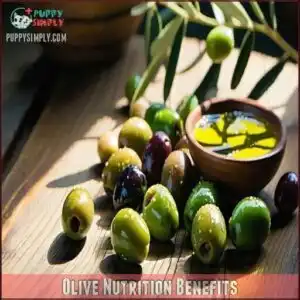 Olive Nutrition Benefits