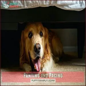 Panting and Pacing
