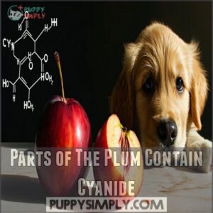 parts of the plum contain cyanide