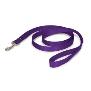 PetSafe Nylon Dog Leash –