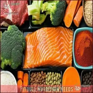 Pitbull Nutrition Needs