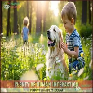 Plenty of Human Interaction