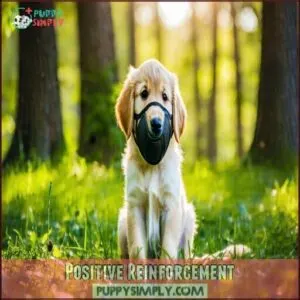 Positive Reinforcement
