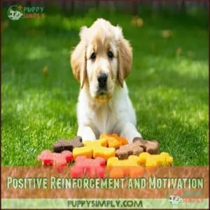 Positive Reinforcement and Motivation