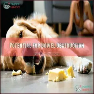 Potential for Bowel Obstruction
