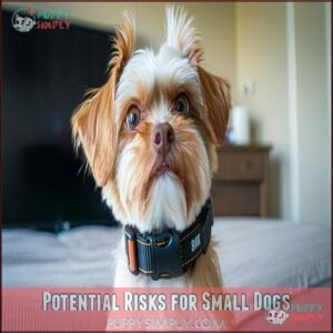 Potential Risks for Small Dogs Potential Risks for Small Dogs