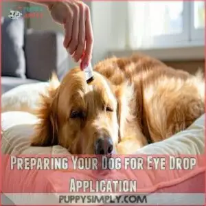 Preparing Your Dog for Eye Drop Application