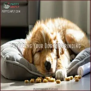 Preparing Your Dog for Grinding