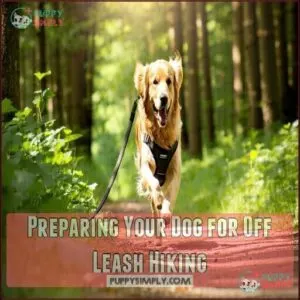 Preparing Your Dog for Off Leash Hiking