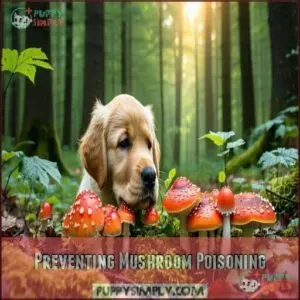 Preventing Mushroom Poisoning