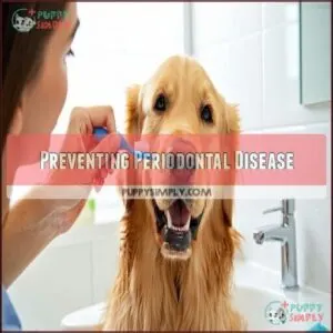 Preventing Periodontal Disease