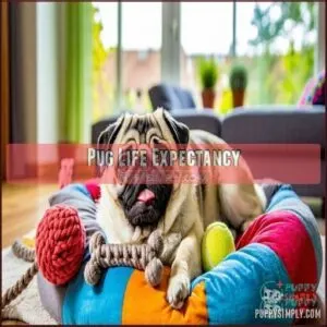 Pug Life Expectancy
