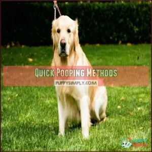 Quick Pooping Methods