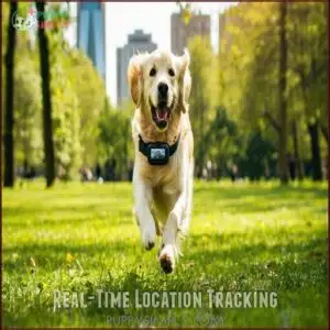 Real-Time Location Tracking