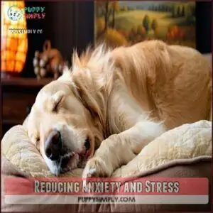 Reducing Anxiety and Stress