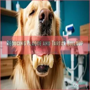 Reducing Plaque and Tartar Buildup