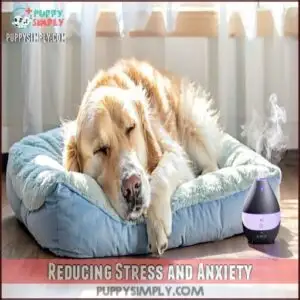 Reducing Stress and Anxiety