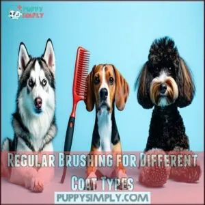 Regular Brushing for Different Coat Types