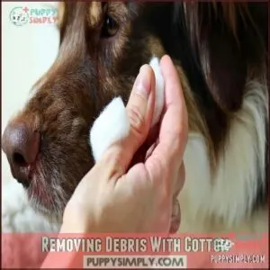Removing Debris With Cotton