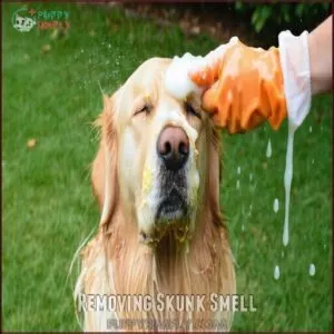Removing Skunk Smell